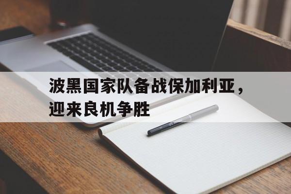 波黑国家队备战保加利亚，迎来良机争胜的简单介绍